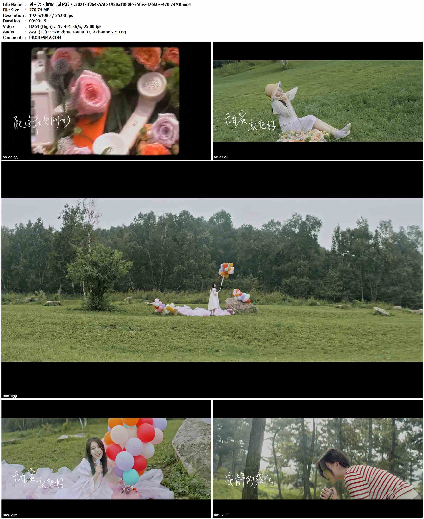 刘人语 - 蜂蜜（融化版）.2021-H264-AAC-1920x1080P-25fps-376kbs-470.74MB官方MV_高清MV